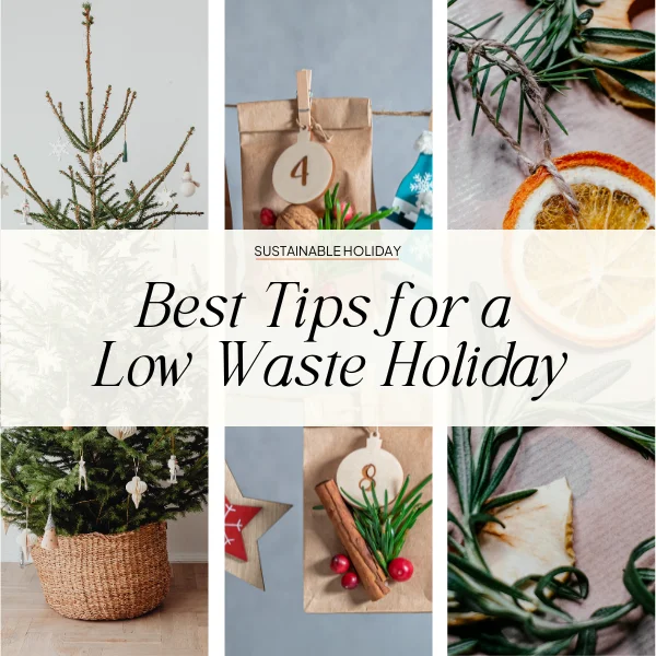 Reducing waste during the holidays