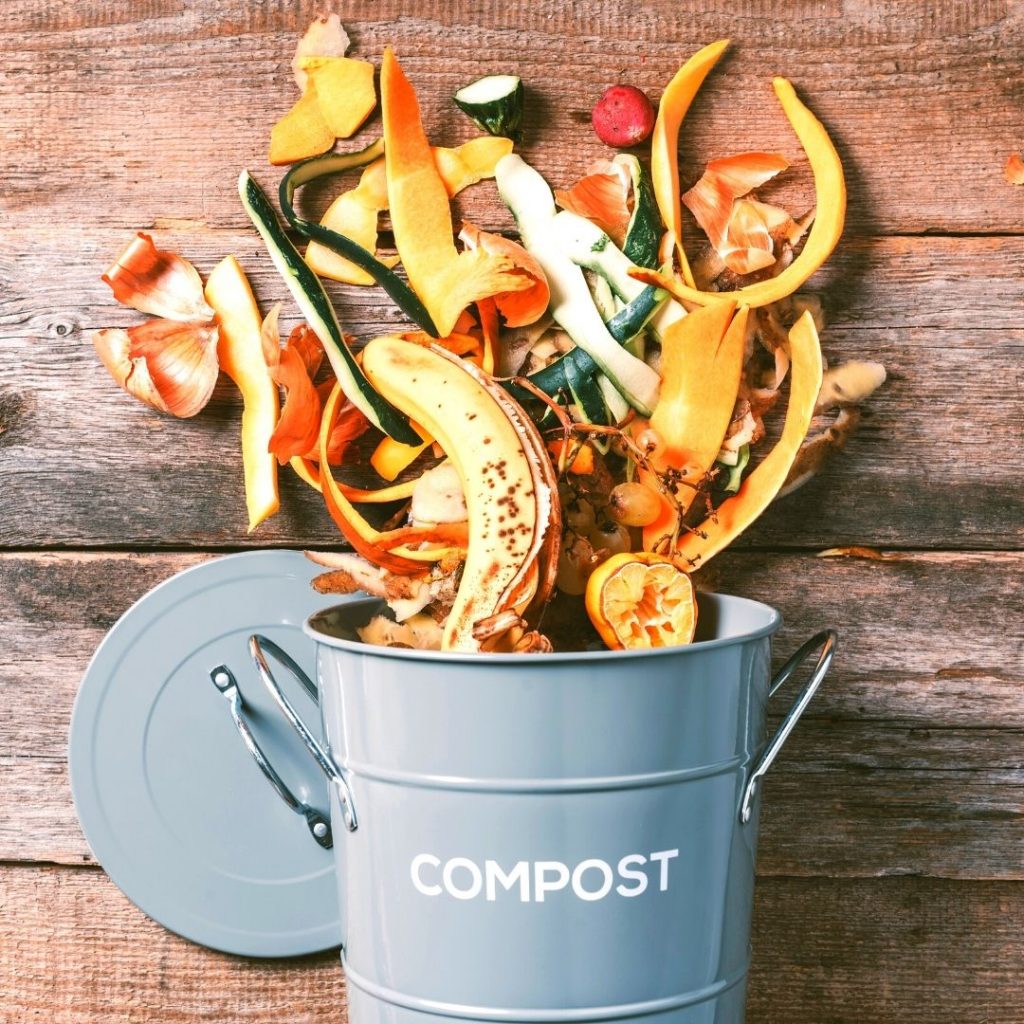 simple guide to at-home composting in an apartment