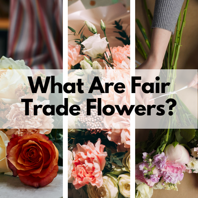 what does fair trade mean