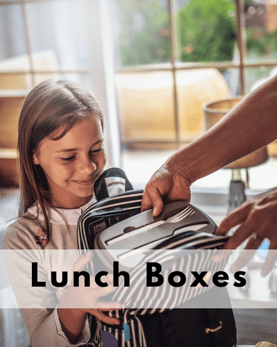 eco friendly lunch box