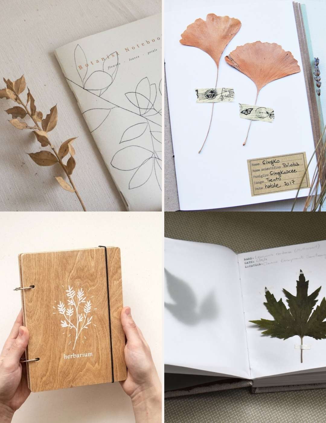 Herbarium Notebooks
