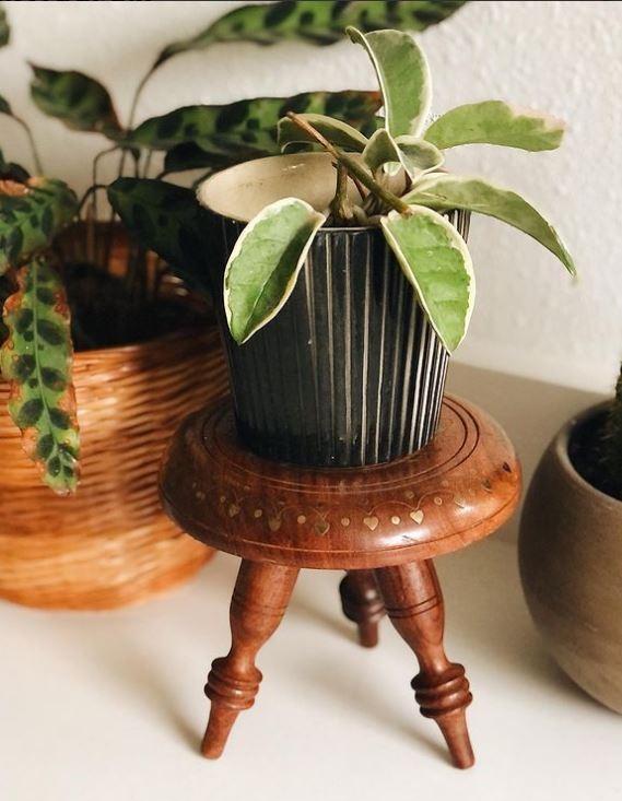 Vintage Handcrafted Wood Tripod plant stand with plant and plant pot