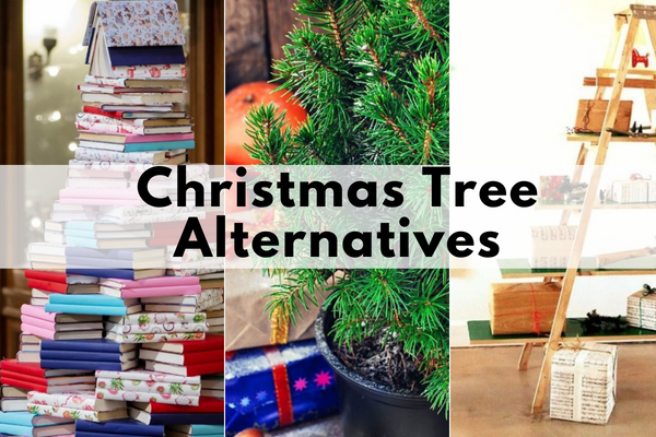 sustainable christmas trees
