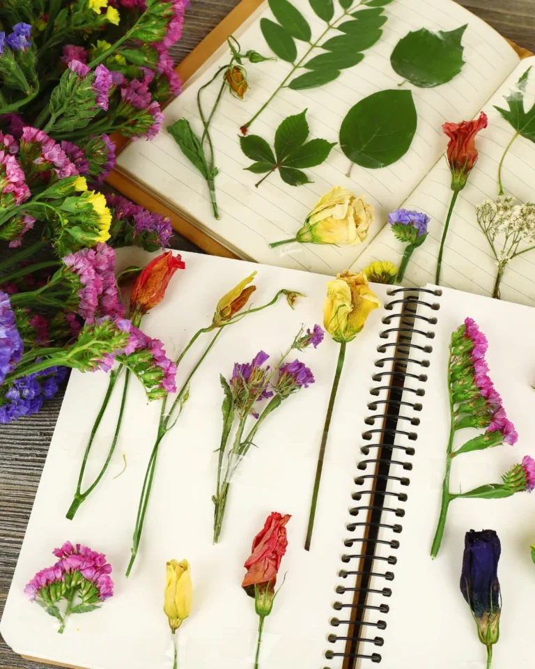 4 Beautiful Herbarium Notebooks Made By Small Sustainable Shops