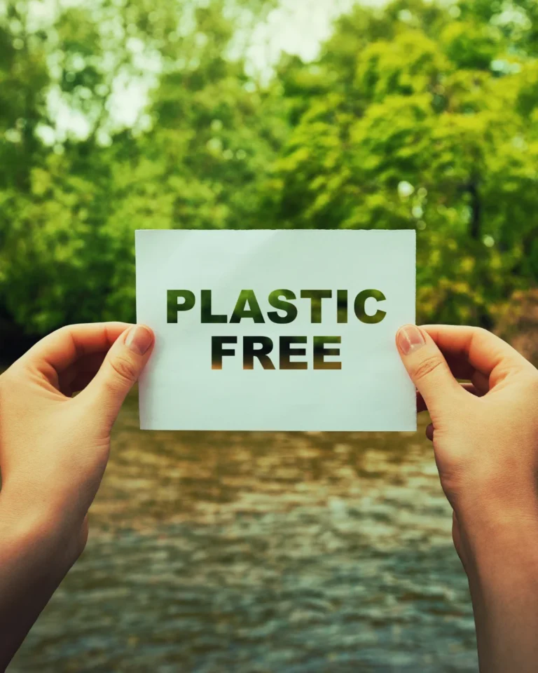 85+ Amazing Ways To Go Plastic-Free this July!