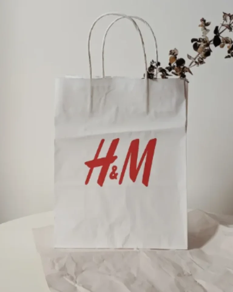 Is H&M Sustainable? How This Fast Fashion Empire Has Greenwashed Us All