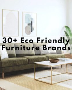 eco friendly furniture brands