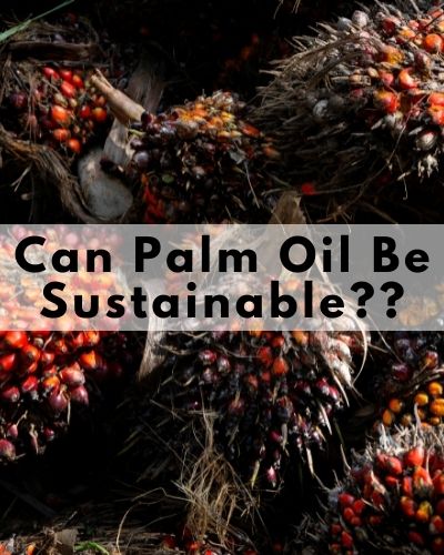 is palm oil bad? Benefits of palm oil