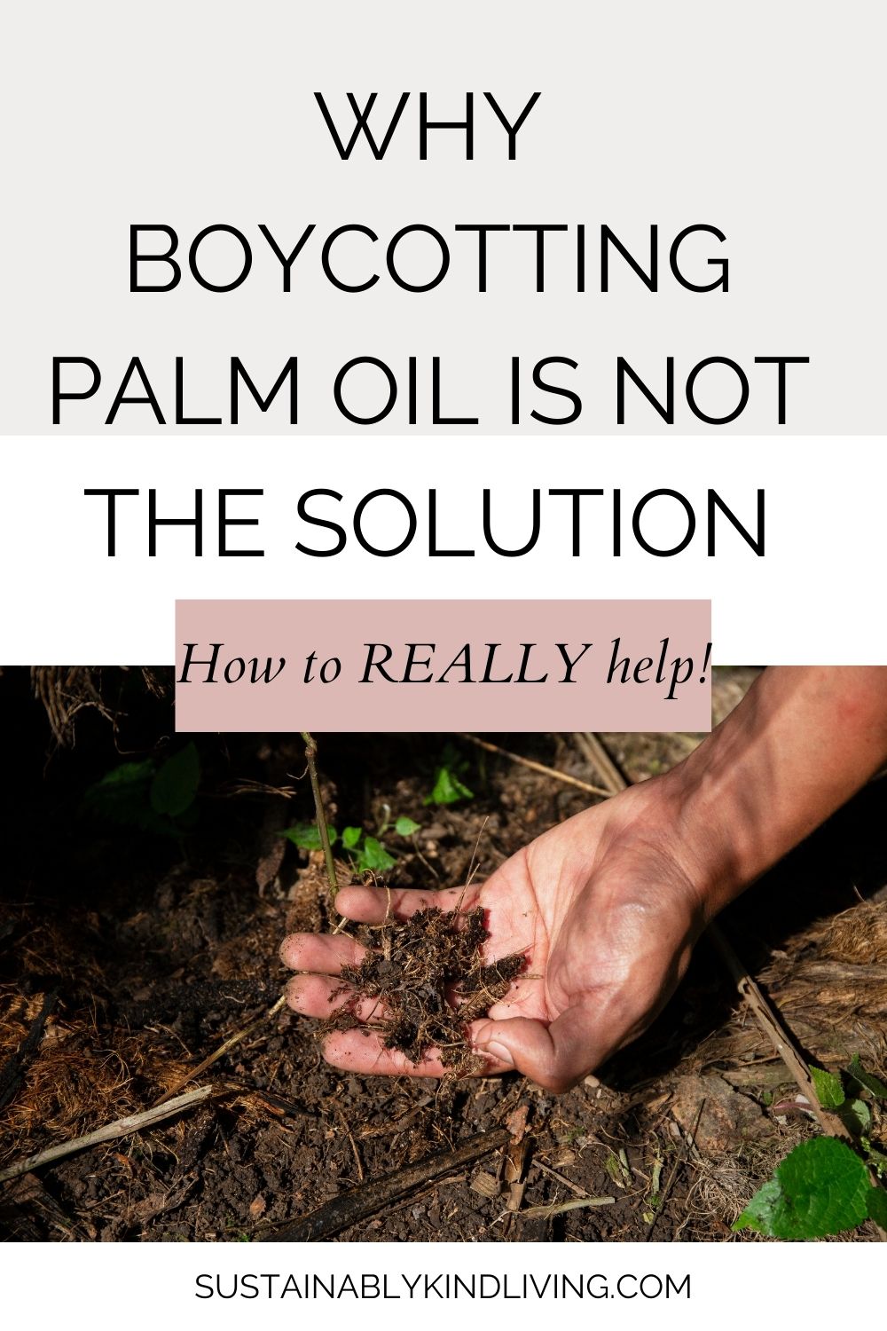 is palm oil bad