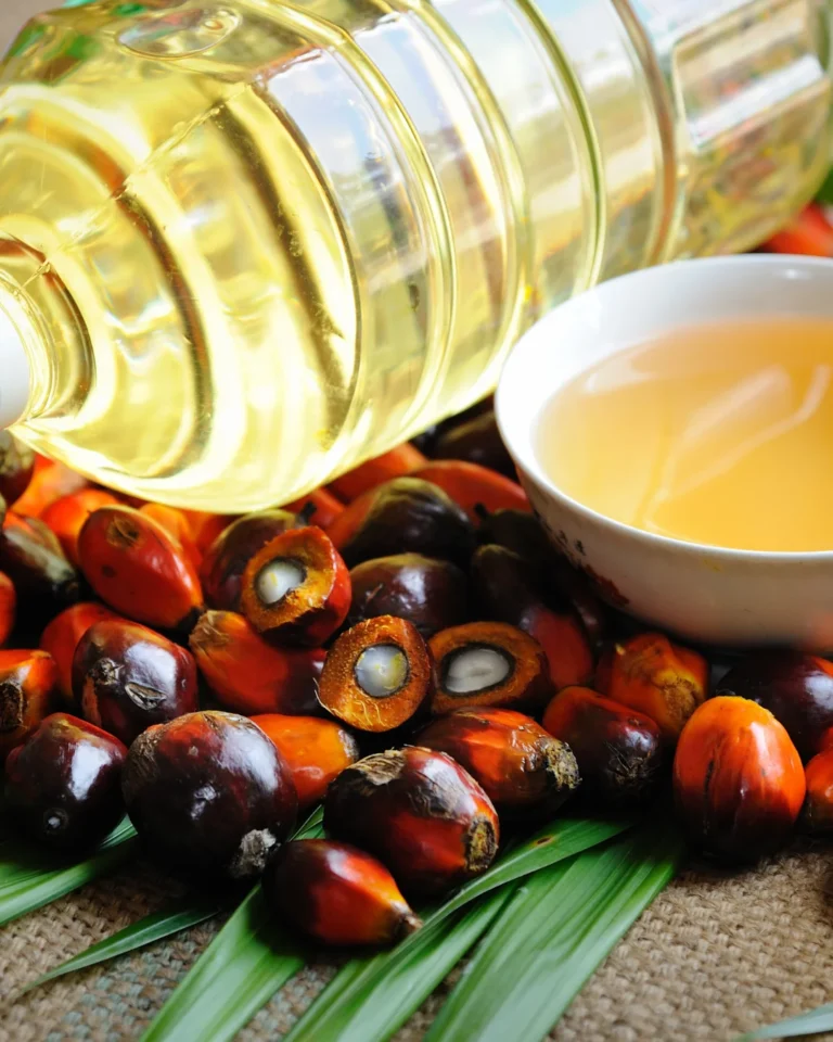 Is Palm Oil Bad? How to Fight Back with Sustainable Palm Oil Done Right.