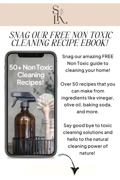 free non-toxic cleaning recipe ebook