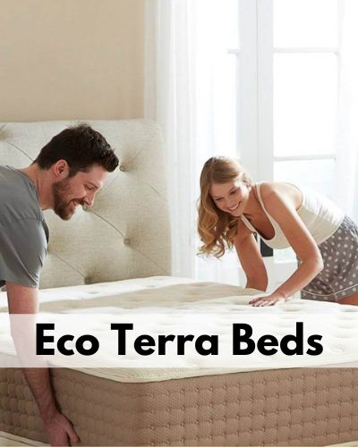 non toxic mattresses