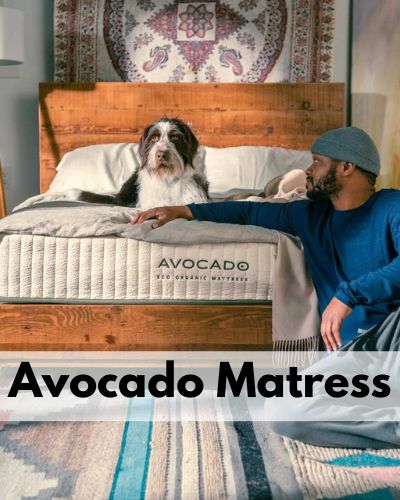 best non toxic mattresses