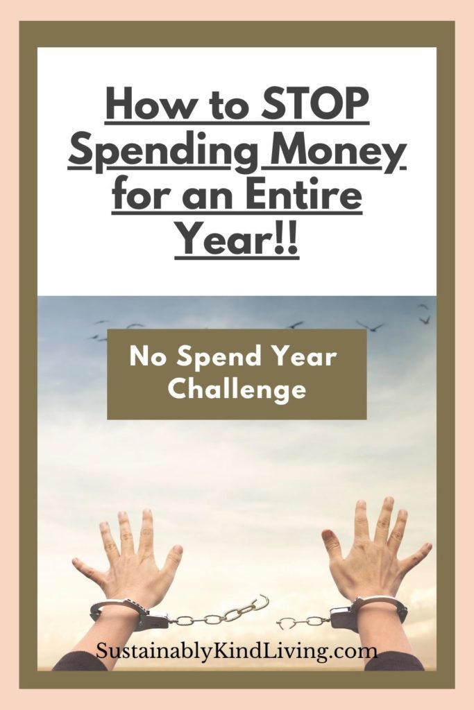 no spend year challenge
