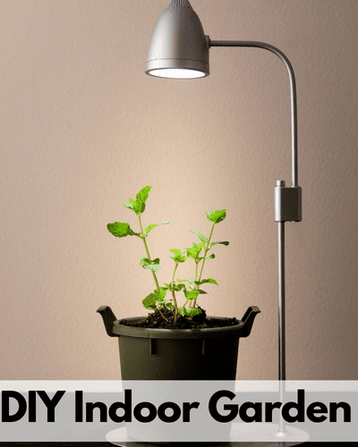 DIY indoor garden kit