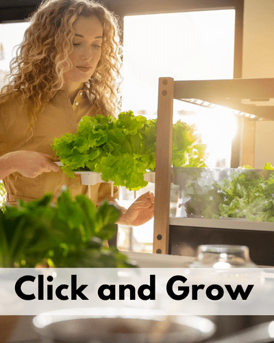 click and grow indoor garden