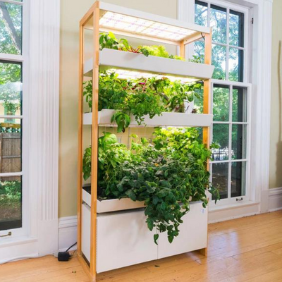 family size indoor garden system