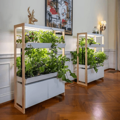 indoor garden system