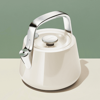 what is the safest tea kettle material