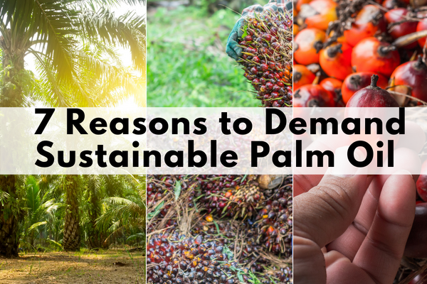 sustainable palm oil