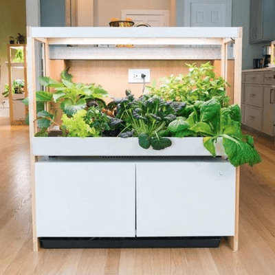 best indoor garden system