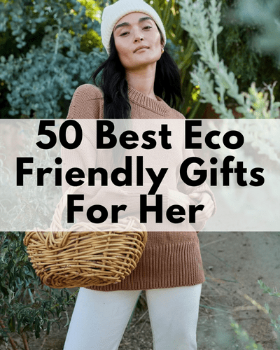 eco friendly christmas gifts