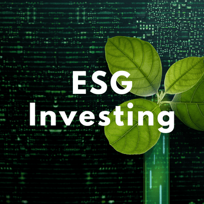 ESG score