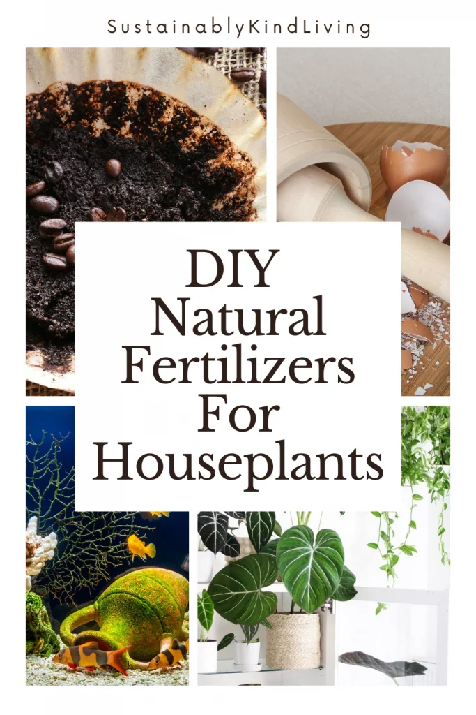 doy houseplant fertilizers