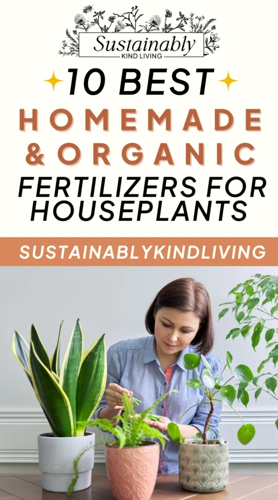 homemade fertilizers for indoor plants 