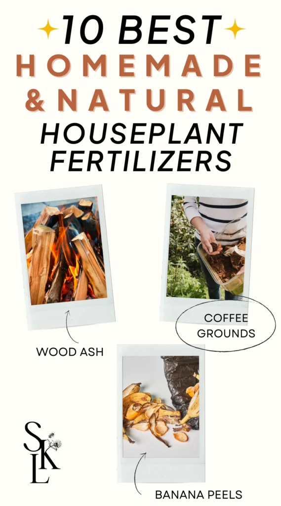 diy fertilizers for indoor plants 