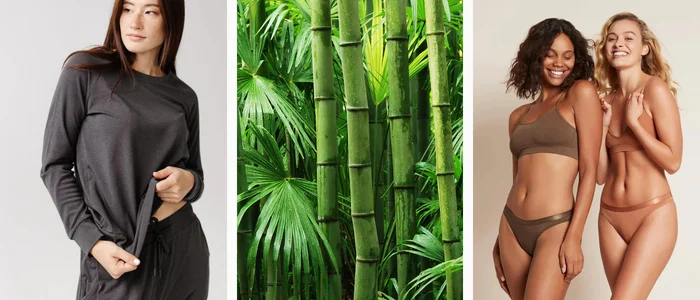 advantages and disadvantages of bamboo
