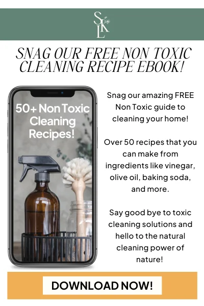 Free Cleaning Ebook