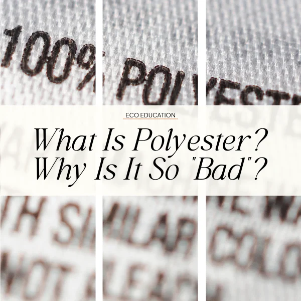 is polyester plastic