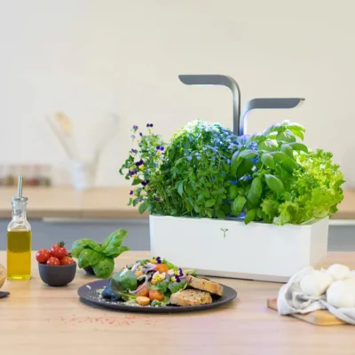 Indoor vegetable garden system