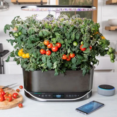 Best Indoor Vegetable Garden System
