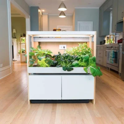 Large Indoor Vegetable Garden System