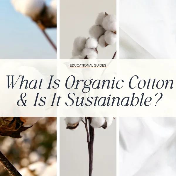 why is organic cotton more expensive
