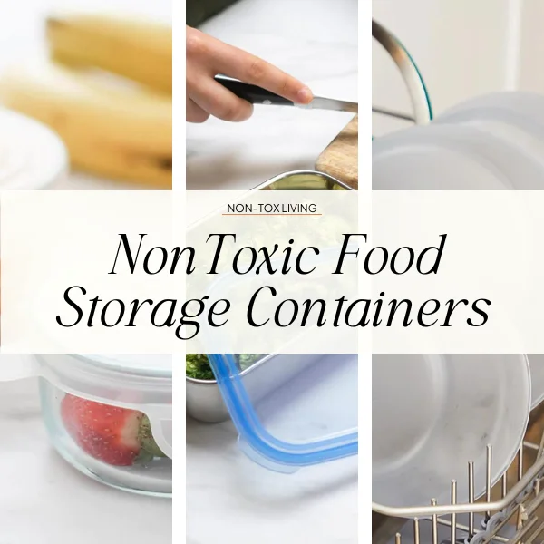 best non-toxic food storage brands