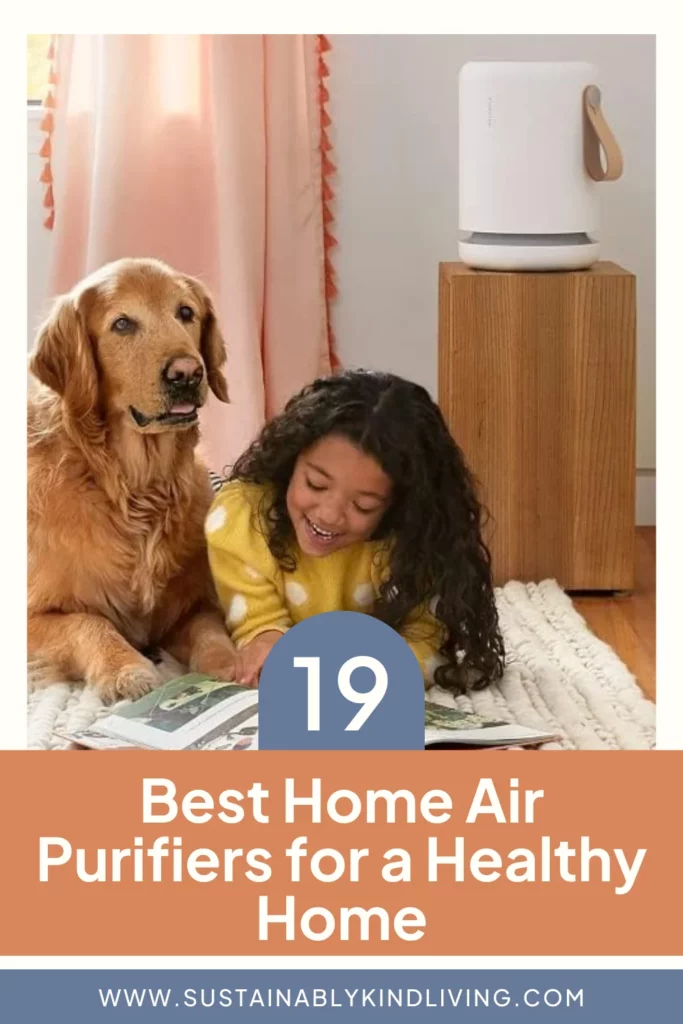 best rated home air purifier