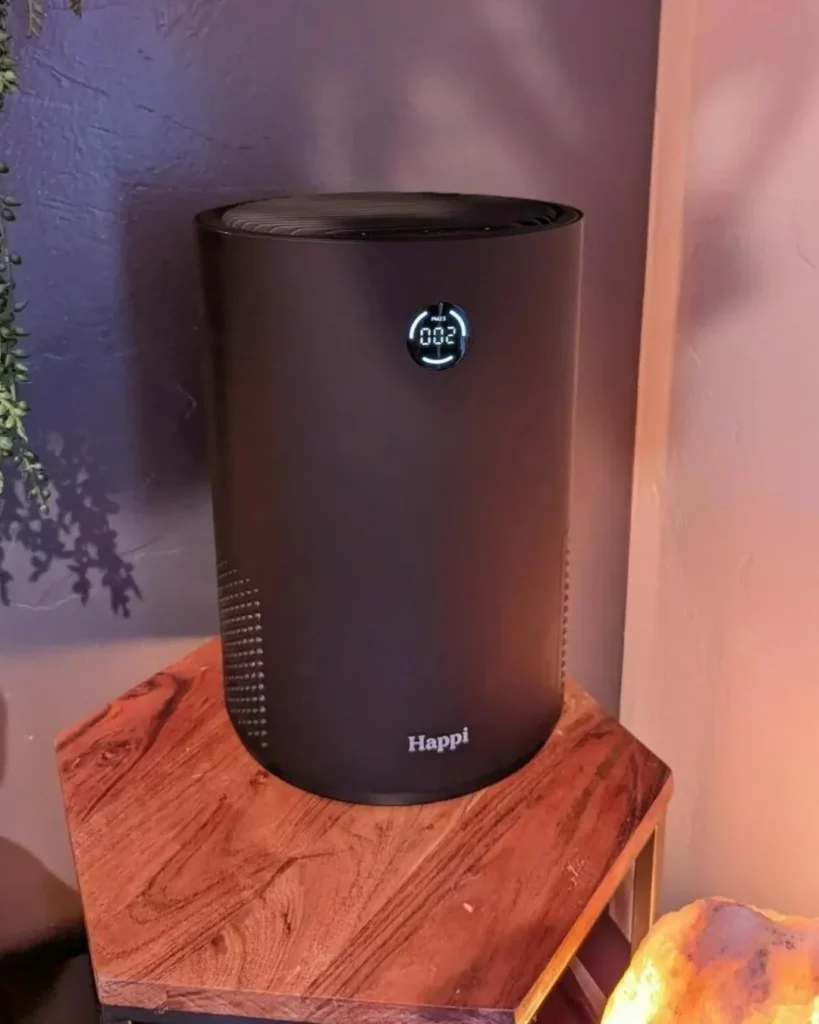 Best Air Purifier For Covid