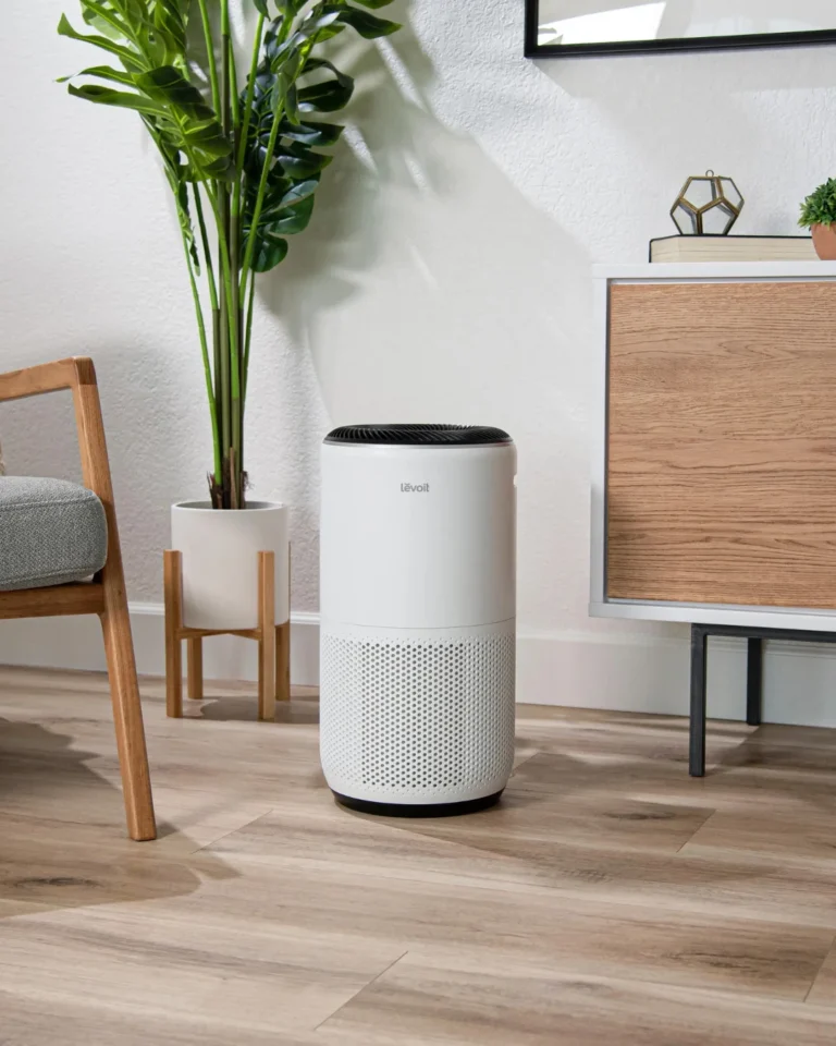 20 Best Home Air Purifiers in 2024 for Dust, Allergies, Mold, Smoke & More!