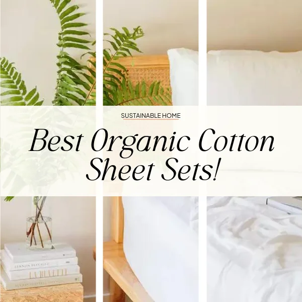 100% organic cotton sheets