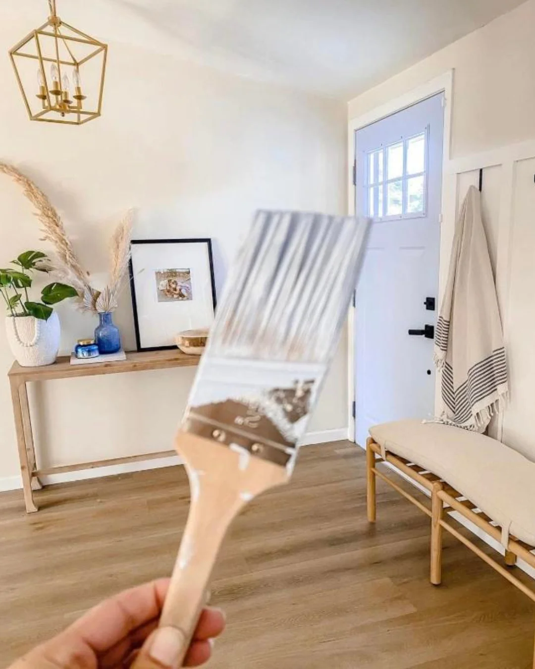interior non toxic paints