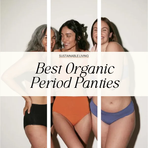 organic & PFAS-free period panties