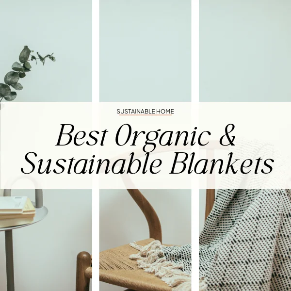Eco-Friendly Blanket