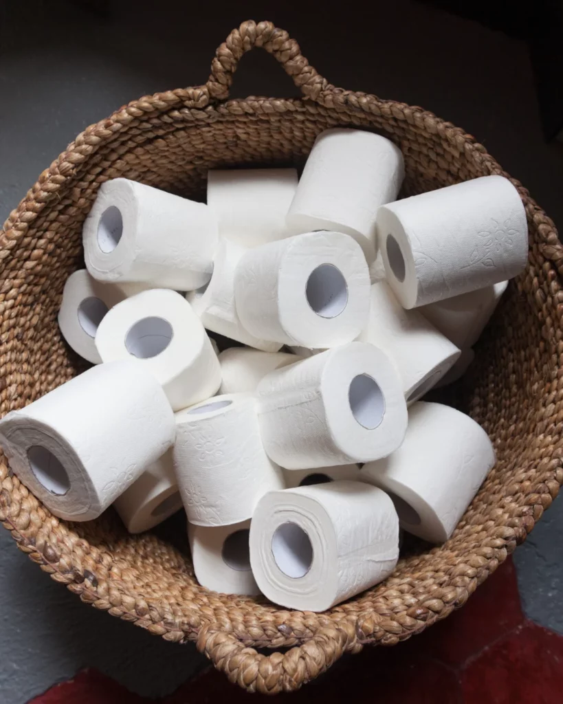 non toxic toilet paper brands