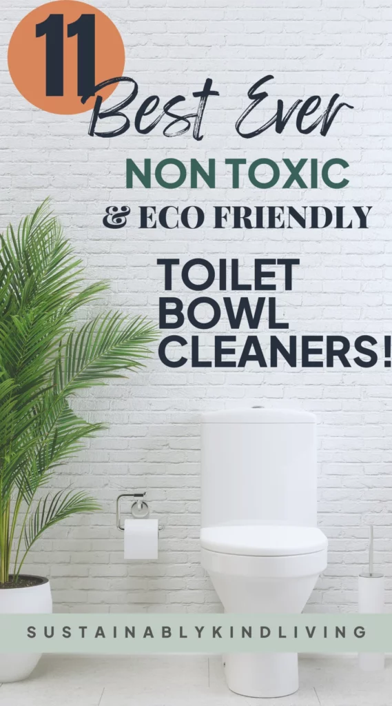 non toxic toilet bowl cleaner
