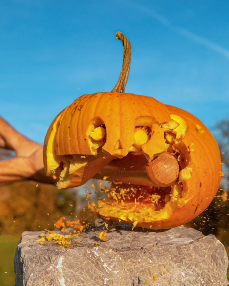 10+ Best Ways to Keep Halloween Pumpkins Out of Landfills!