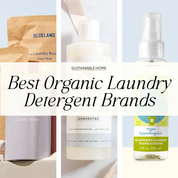 best eco friendly laundry detergent brands