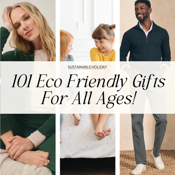 eco friendly gifts 2023
